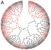 Inheritance in the decision to sporulate, from Fig. 4 of PNAS article