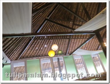 IMG_4368 IMG_4368