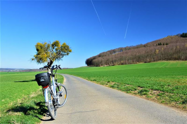 ebike per escursioni