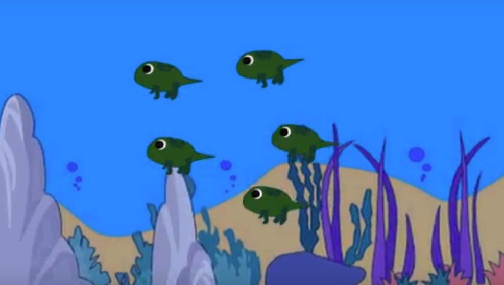 Katak Dan Ikan  Dalam Perkembangannya Melakukan Fertilisasi 