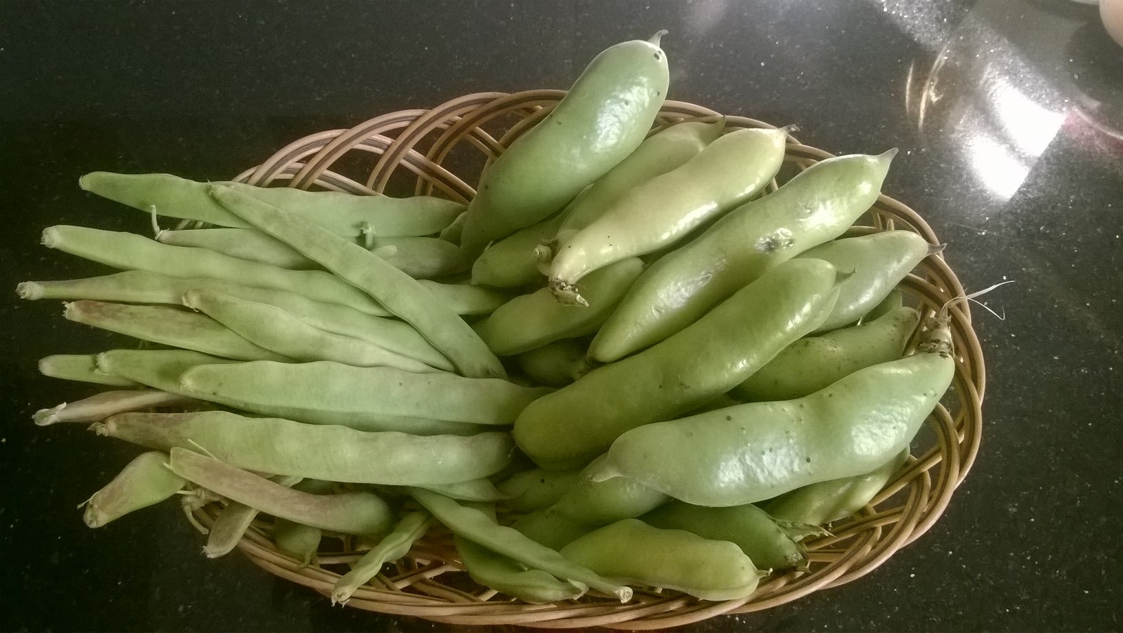 organic beans from my backyard garden