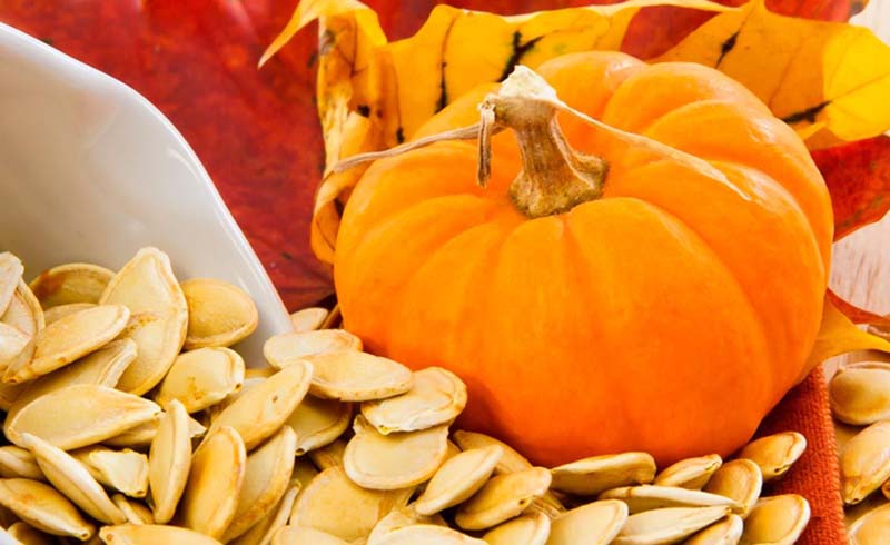 Here’s our foolproof guide to saving pumpkin seeds.