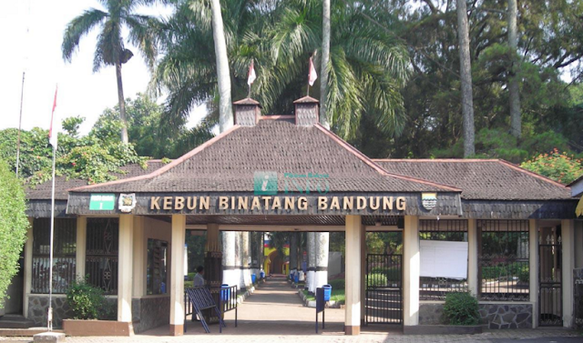 Tepat wisata Kebun Binatang Bandung