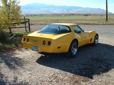 1981 Yellow Chevrolet Corvette