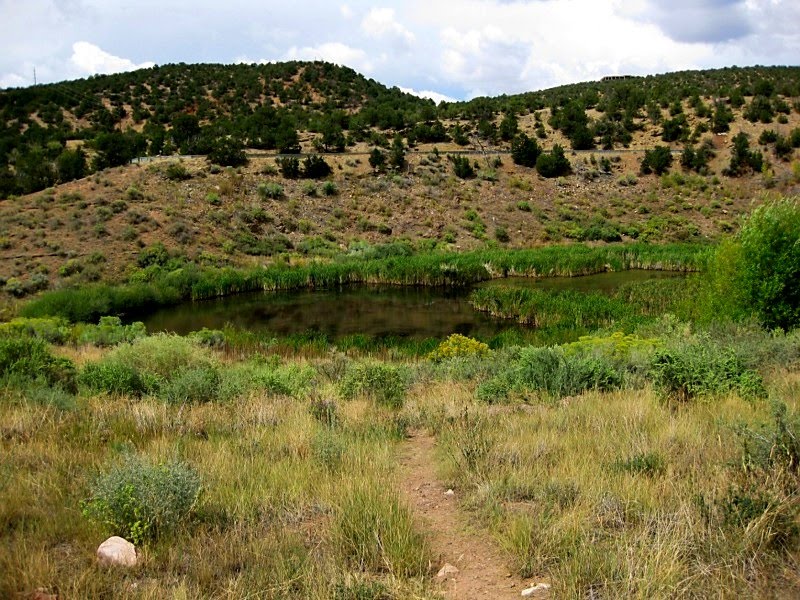  of discussions regarding the land grants in New Mexico ("Mercedes").