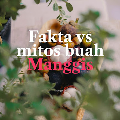 Fakta vs mitos buah Manggis.