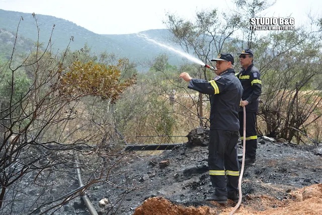 Αργολίδα: Πυρκαγιά στα Καρναζέικα 