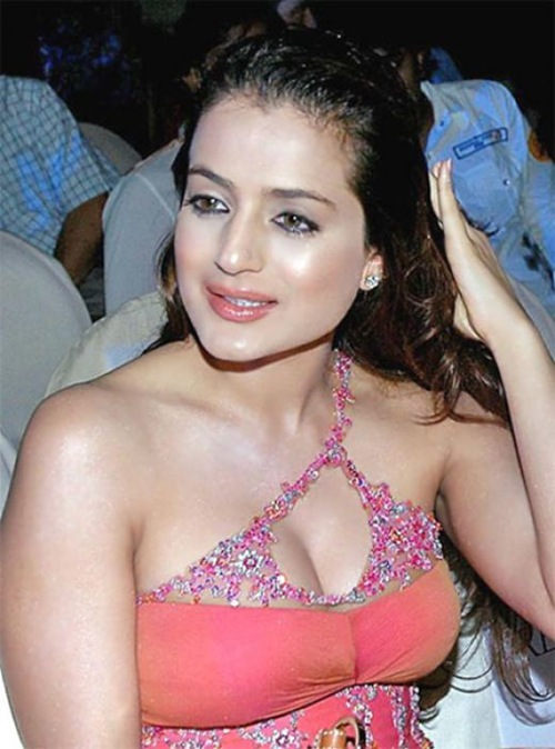 Amisha Patel Hot cleavage 1