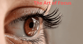 The Art of Focus The Art of Focus