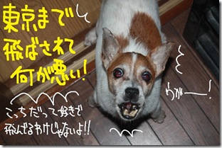 今日カズ１００８０９　２