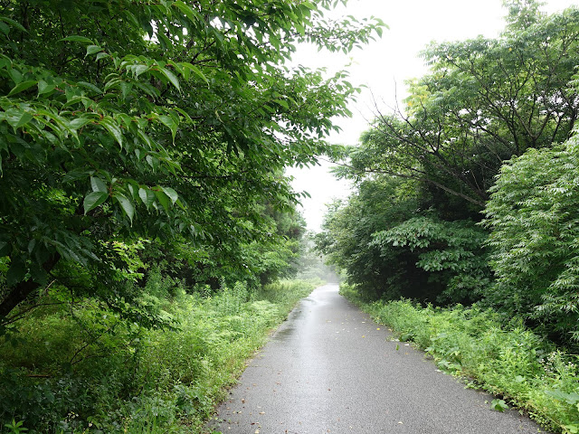 鳥取県西伯郡大山町妻木　鳥取県立むきばんだ史跡公園　弥生の森遊歩道