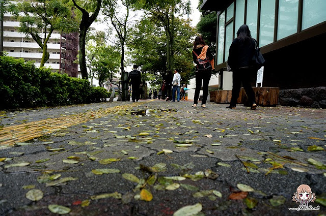 autumn in japan