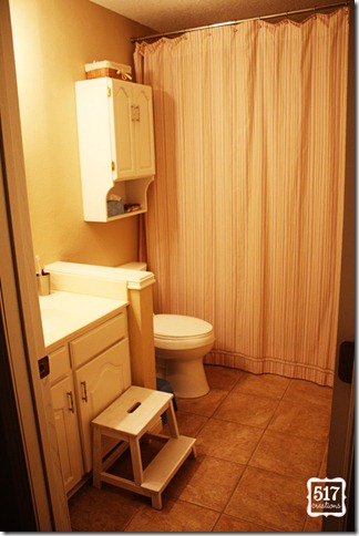 guest_bathroom1