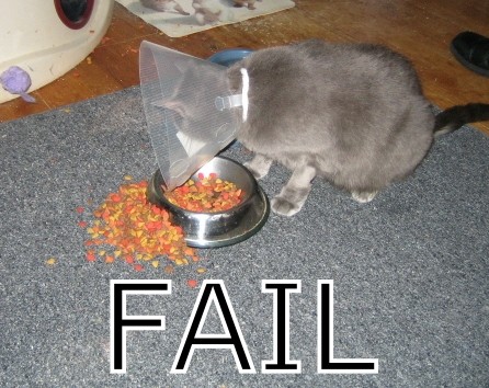 fail funnies. fail funnies