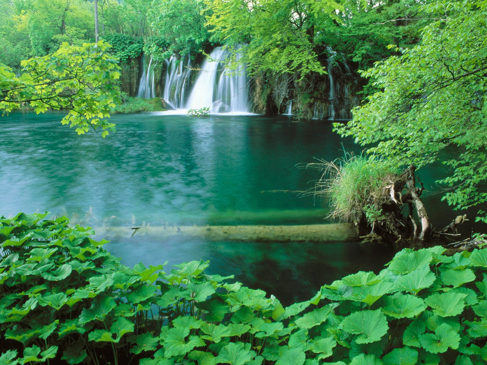 Croatia Plitvice Lakes National Park