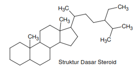 PENGERTIAN SAPONIN - MAKALAH SAPONIN - AwaliHarimu