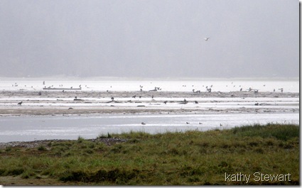 Rising water