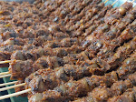 Sate Kerang Rahmat Medan Oleh-oleh Khas di Kota Medan Menjadi Primadona