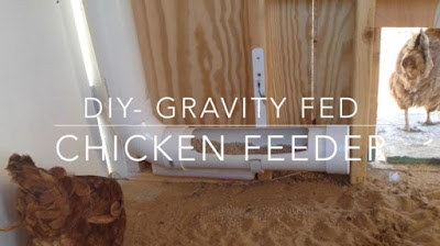 DIY, Chicken Coop Gravity PVC Feeder, tempat makanan ayam otomatis dengan pipa PVC