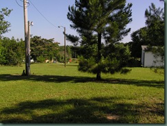 P1010078