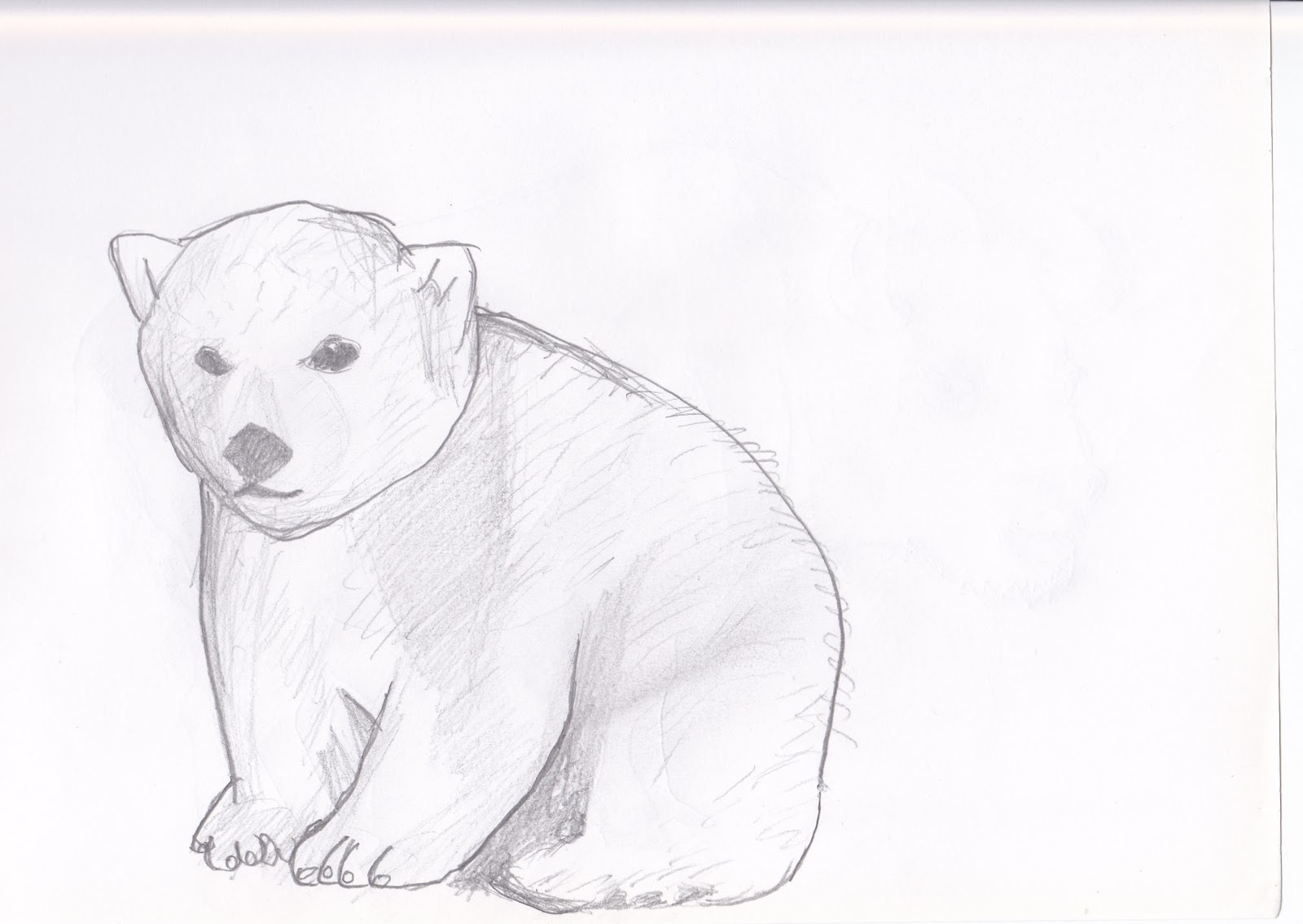 zoo how sketch to draw Sketches O.S. Zoo Animal WIP THE BLOG: Paper zoo how sketch to draw Sketches O.S. Zoo Animal WIP THE BLOG: Paper