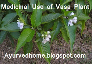 Home Remedies With Vasa Plant