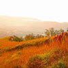 Gunung Guntur Rawan Kebekaran