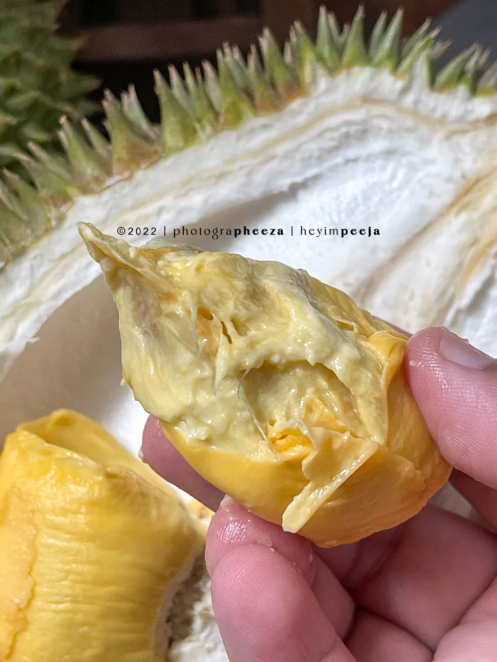 durian 101 atau IOI