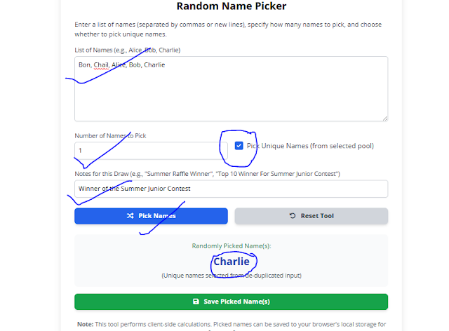 Step-by-step usage of the Random Name Picker tool for contest draws.