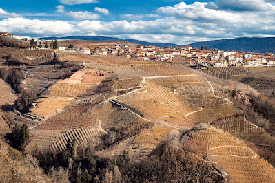 Trento Italy Vineyard Grape Dolomites Landscape