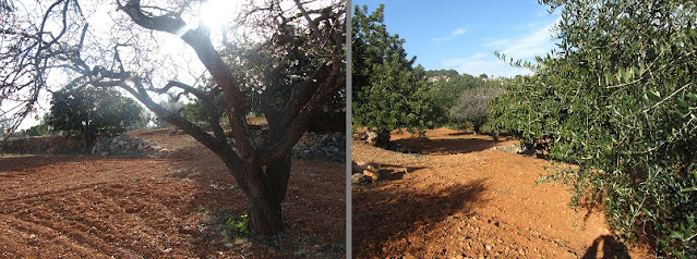 LA BISBAL DEL PENEDÈS AL PUIG FRANCÀS,