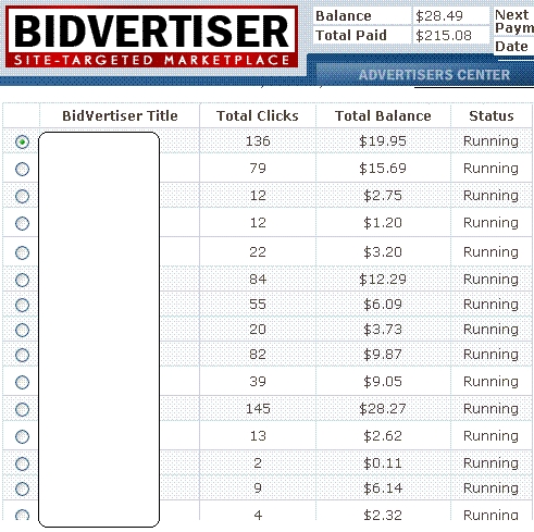 Bidvertiser screenshot account