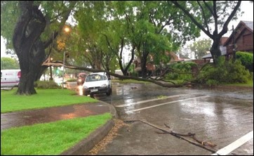 Temporal en el Sur de Uruguay (24.1.14) (8)