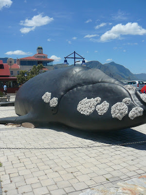 Small Town Music, Small Town Music blog, Hermanus whale museum, MK Avontoer, Avontoer, 6de MK Avontoer, Avontoer in Hermanus