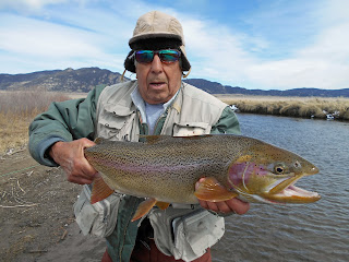 Colorado Dream Stream Fly Fishing Trips