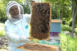 मधमाशी पालन योजना / मधकेंद्र योजना -  Madhmashi Palan Yojana / Beekeeping Scheme in marathi