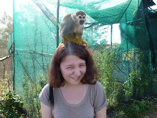 Squirrel Monkey at International Primate Rescue