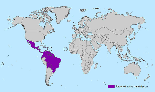 Persebaran virus zika di dunia