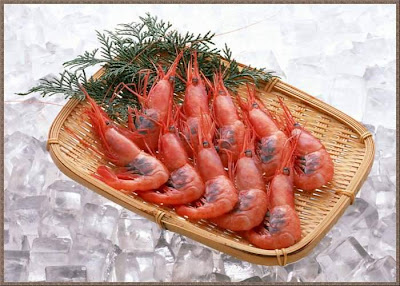 Beautiful ocean fresh seafood Pics