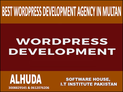 Best WordPress Development Agency in Multan