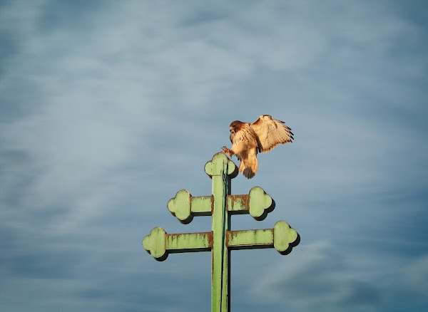 Amelia landing on the cross of St Nicholas of Myra church.