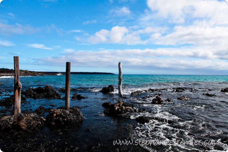 Maui-101