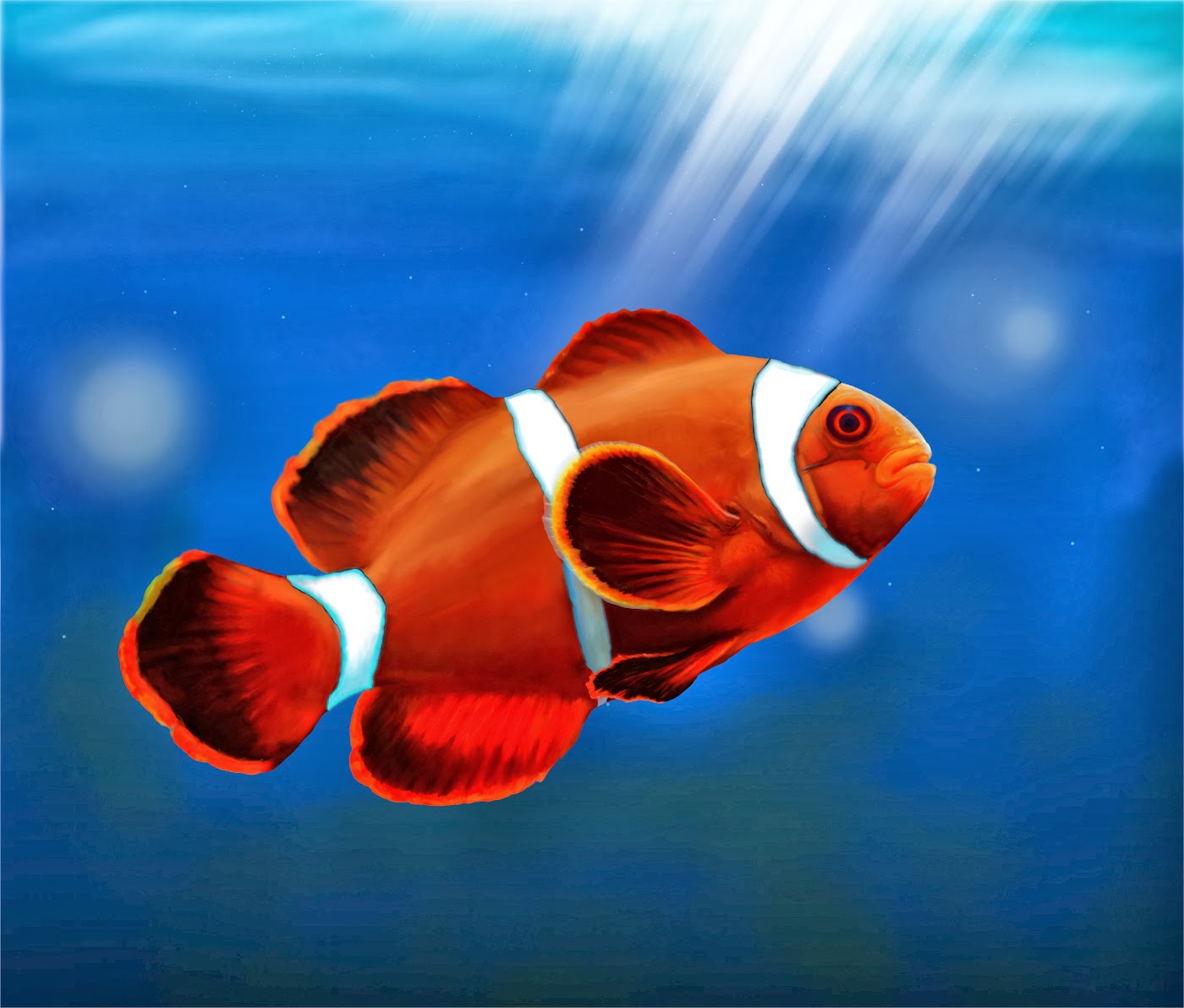 fish share GAMBAR IKAN HIAS CLOWNFISH 5