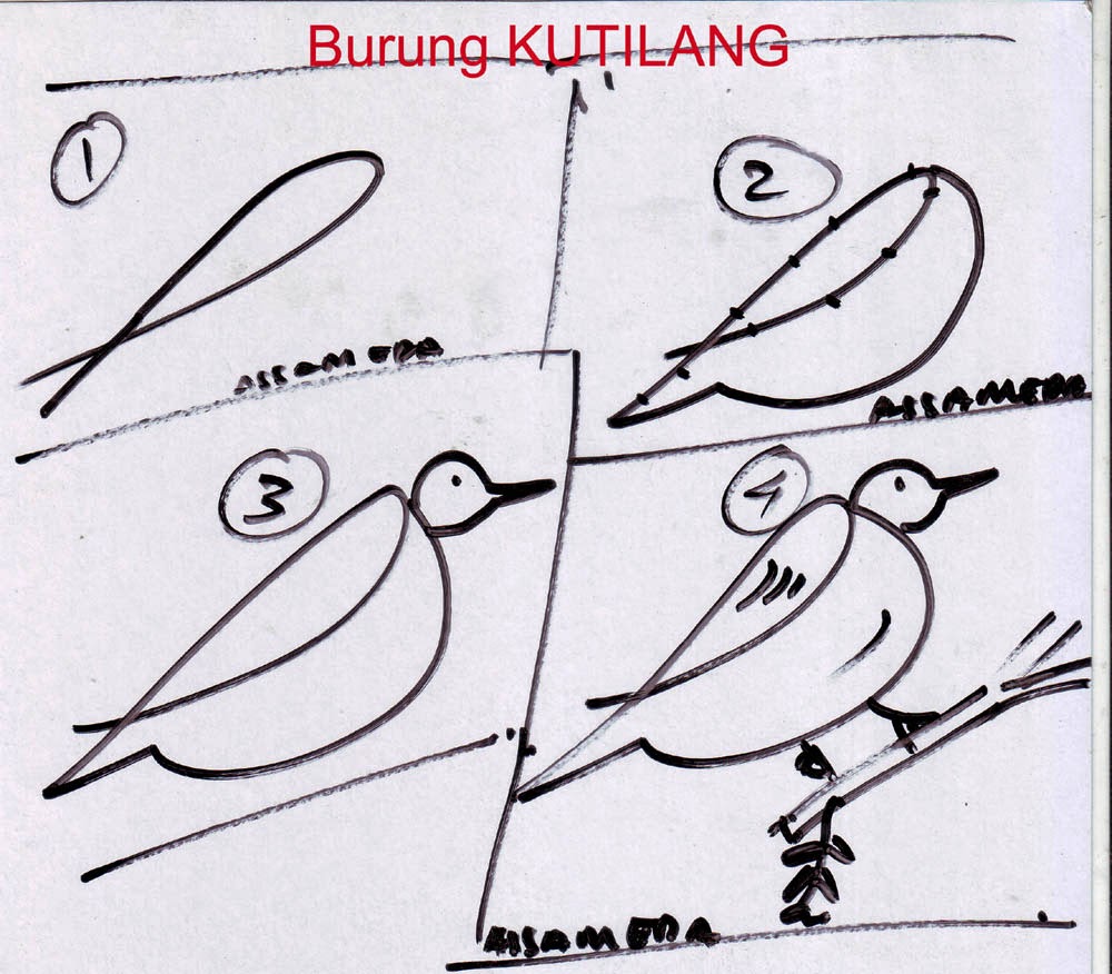 114 Sketsa Burung Yang Mudah Digambar Gudangsket