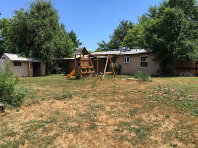 Backyard with Playset and Grass