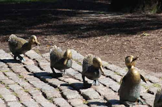 Make Way For Ducklings Boston Public Garden