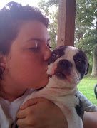 I LOVE BOSTON TERRIERS