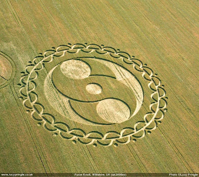 Crop Circle YOgyakarta