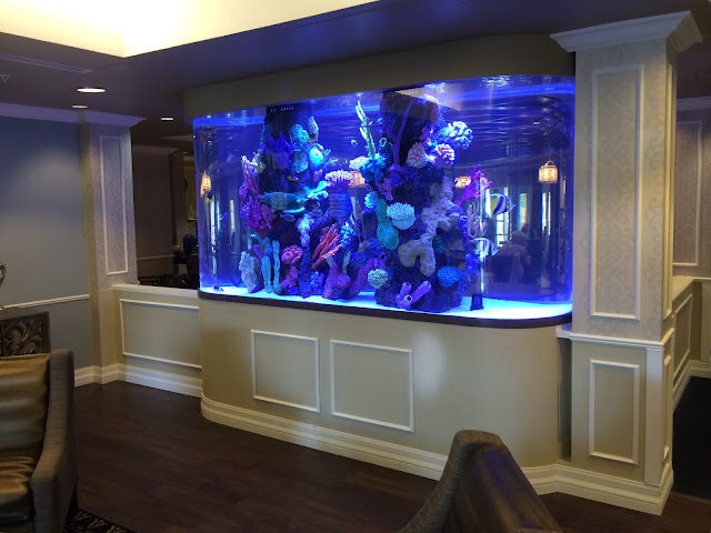 florida keys aquarium design