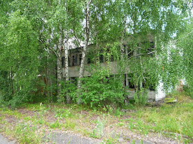 сукцессии в зоне отселения Чернобыльской АЭС